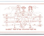 Comic Risque Cowboys This is the Country For Me UNP DB Postcard B18 - $4.90