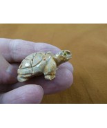 Y-TUR-LA-61) Tortoise land turtle SOAPSTONE FIGURINE love little turtles... - $12.33 CAD