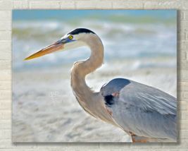 Blue Heron at Beach, Shorebird, Nature Art, Fine Art Photo, Metal, Canvas, Paper - £24.77 GBP+