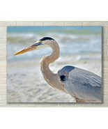 Blue Heron at Beach, Shorebird, Nature Art, Fine Art Photo, Metal, Canva... - £23.55 GBP+