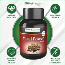 Musli Power Capsule ) Supports Immunity, Improves Strength 60 Capsule - £12.62 GBP