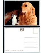 DOG &amp; CAT Postcard - Golden Retreiver Dog With Cute Kitten D20 - £2.33 GBP