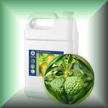 Item image 13