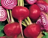 Crosby Egyptian Beet Seeds 100 Seeds Non-Gmo Fast Shipping - $7.99