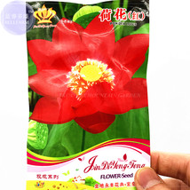 Lotus Bride Gift Seeds 5 seeds - $5.75