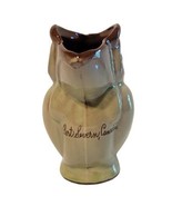 Vintage Drip Glaze Canuck Pottery Port Severn Souvenir Toucan Bird Pitch... - £12.58 GBP