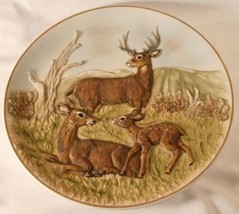 ENESCO Limited Edition 1981 Collector Plate "The Deer Family"  #507 - £35.97 GBP