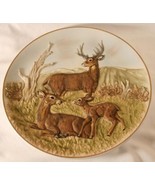 ENESCO Limited Edition 1981 Collector Plate &quot;The Deer Family&quot;  #507 - £35.39 GBP