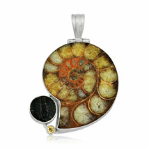 Sterling Silver Ammonite, Citrine and Trilobite jewelry Pendant/ Halloween - £39.74 GBP