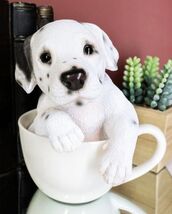 Realistic Adorable Spotted Dalmatian Puppy Dog in Teacup Statue 6" Tall ... - $30.99