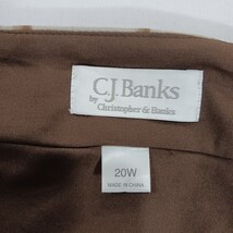 CJ Banks by Christopher & Banks Women's Sz 20W Brown/Orange A-Line Pull-On Skirt image 3