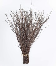 50 psc 100 Natural Decorative Birch Branches for Vases Centerpieces - $49.18