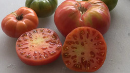 50 Seeds Pink Ponderosa Tomato Vegetable Tomatoe Garden Fresh USA Shipping - $9.40