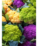 Broccoli Mixed Purple/Romanesco/Yellow - $9.75