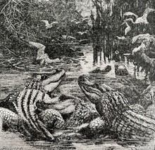 Scene On The Nile River Crocodiles 1887 Wood Engraving Victorian Art DWEE28 - $29.99