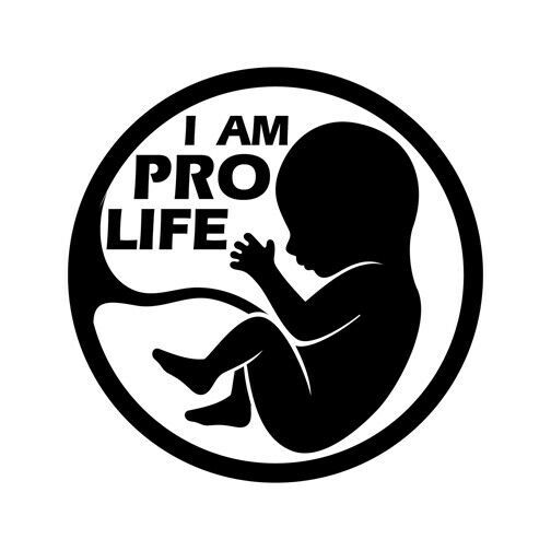 2x Pro-life unborn Baby Vinyl Decal Sticker Different colors & size for Cars