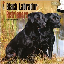 Labrador Retrievers, Black - 2014 Calendar - $7.13