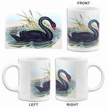Black Swan (Cygnus Atratus) - 1848 - Australia - Bird Illustration Mug - $23.99+