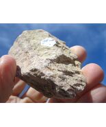 COFFINITE URANIUM ROCK 3.7 OZ 43,500. CPM   $25.00 +$12.80 S/H - $25.00