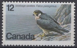 ZAYIX Canada 752 MNH Endangered Wildlife Birds Peregrine Falcon 121722S47 - £1.23 GBP