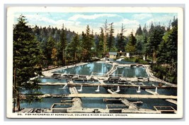 Bonneville Fish Hatcheries Columbia River Highway OR Oregon UNP WB Postcard N19 - £2.31 GBP