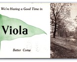 Pennant Banner Greetings From Viola Idaho ID 1912 DB Postcard P20 - $13.81