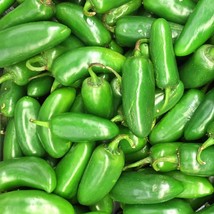 Jalapeno Tam Hot Pepper Seeds Vegetable Seeds Non-Gmo Gardening Fresh USA SHIPPI - $11.03