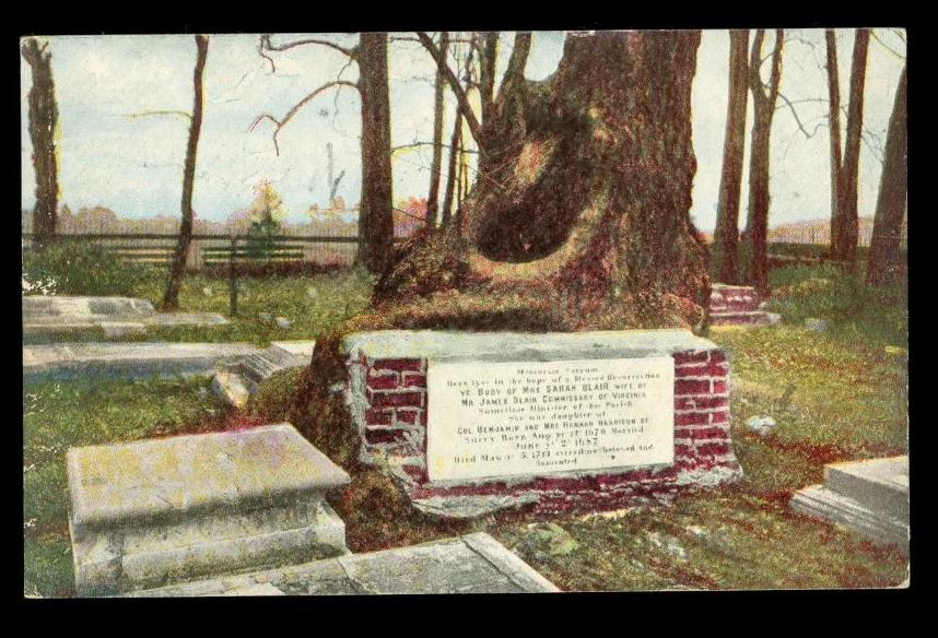 Primary image for Vintage Postcard Jamestown Virginia Graveyard Sarah Blair Sycamore Tree