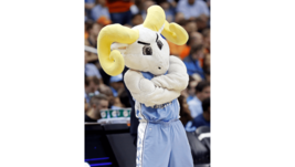 Metal Sign 12X8in NCAA College Logo Vintage Poster Print Old New Art 80s 28 - €21,48 EUR