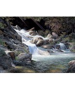 Larry Dyke Living Water Giclee on Canvas Artist Proof - £1,281.26 GBP