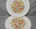 Vintage Set of 4 Corelle Indian Summer Design 10&#39;&#39; Dinner Plates - £30.36 GBP