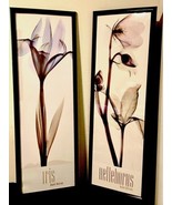 Albert Koetsier Acrylic Framed Prints Set Of 2 Pastel Florals 12.5x36.6 ... - £31.24 GBP