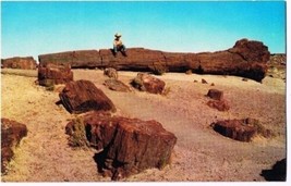 Arizona Postcard Holbrook Petrified Forest Cowboy - $2.96