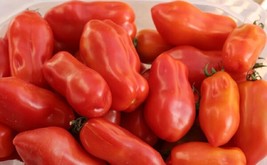 San Marzano Tomato Seeds- 40 Garden Usa Shipping - $10.98