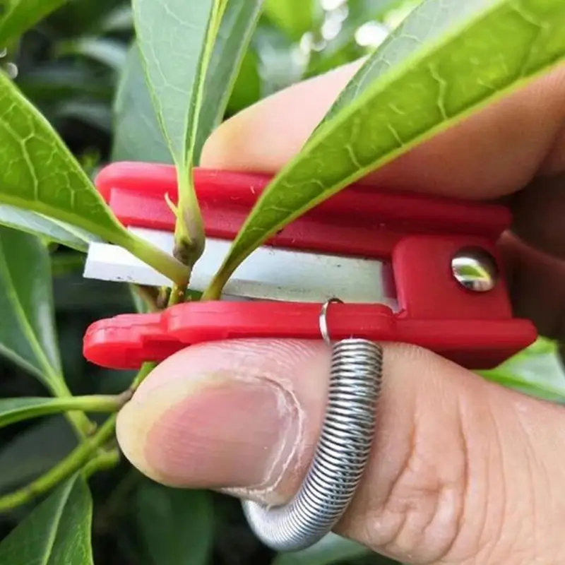 Thump  Separator Vegetable Fruit Harvesting Pic Tool For Farm Garden Orc... - €43,86 EUR