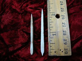 (f352-31) small 1-1/2&quot; Stingray Ray barbs modern Himantura chaophraya ba... - $14.99