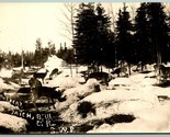 RPPC Invernale Orizzontale Scene Cervo Pascolo Hulbert Michigan Mi 1930 ... - $16.34