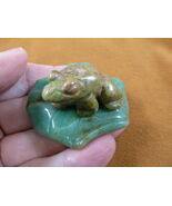 (Y-FRO-LP-713) Green orange FROG frogs LILY PAD stone gemstone CARVING f... - $24.99