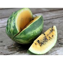 Willhites Tendergold Watermelon Seeds Fresh Seeds USA - $14.24