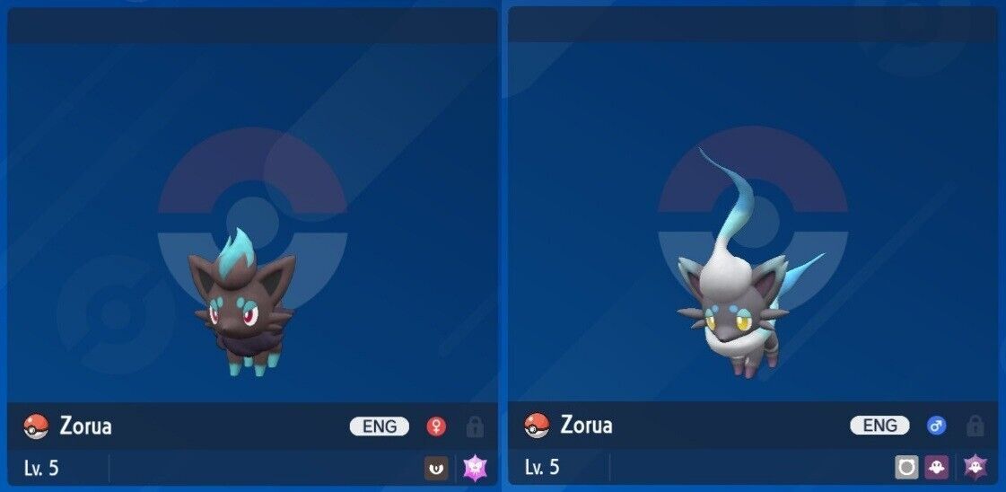 Shiny 6IV XXXL Timid Illusion Unova & Hisui Zorua set Pokemon Scarlet/Violet