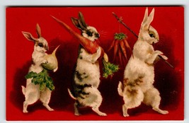 Easter Postcard Bunny White Rabbits Standing Fantasy Holding Carrots Turnips 175 - $20.19