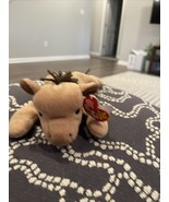 Ty Beanie Baby Derby Yarn Mane No Star DOB 9-16-95 MWMT Free Shipping - $145.74 MXN