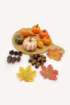Assorted 172-Pack Fall Décor Pieces - £13.12 GBP