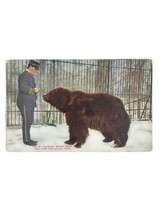  Antique Vintage Postcard New York Zoo NY Zoological Park Alaska Brown B... - $9.46