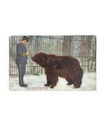  Antique Vintage Postcard New York Zoo NY Zoological Park Alaska Brown B... - £7.49 GBP