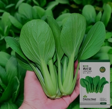 10 grams seeds, Pak Choi Seeds YQ-1003 - £15.84 GBP