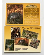 POSTCARD X 2 - TEXAS ARMADILLO &amp; WILDLIFE - £2.46 GBP