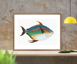 Opah Fish Wall Home Decor Art Poster Print 13 x 10 in - £9.78 GBP