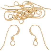 10 14K Gold Filled Fish Hook Earring Wires 21 Gauge - £24.99 GBP