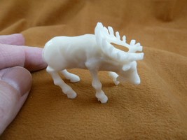 tb-elk-5 little white buck Elk Tagua NUT palm figurine Bali carving Moos... - £42.96 GBP